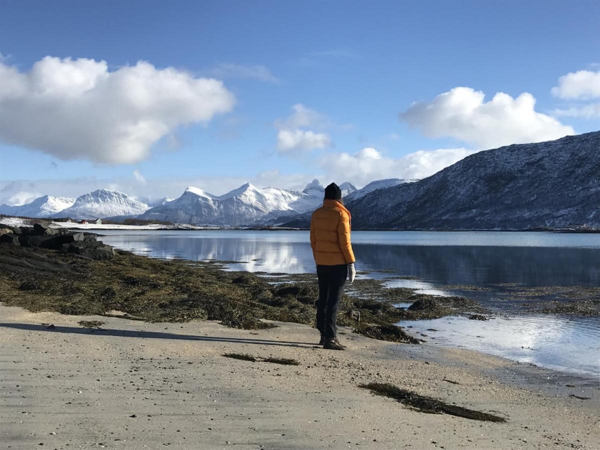 Steigen Sjøhytter Lodge *
