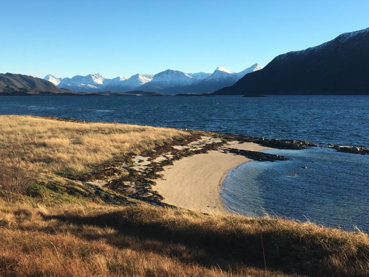 Steigen Sjøhytter Lodge