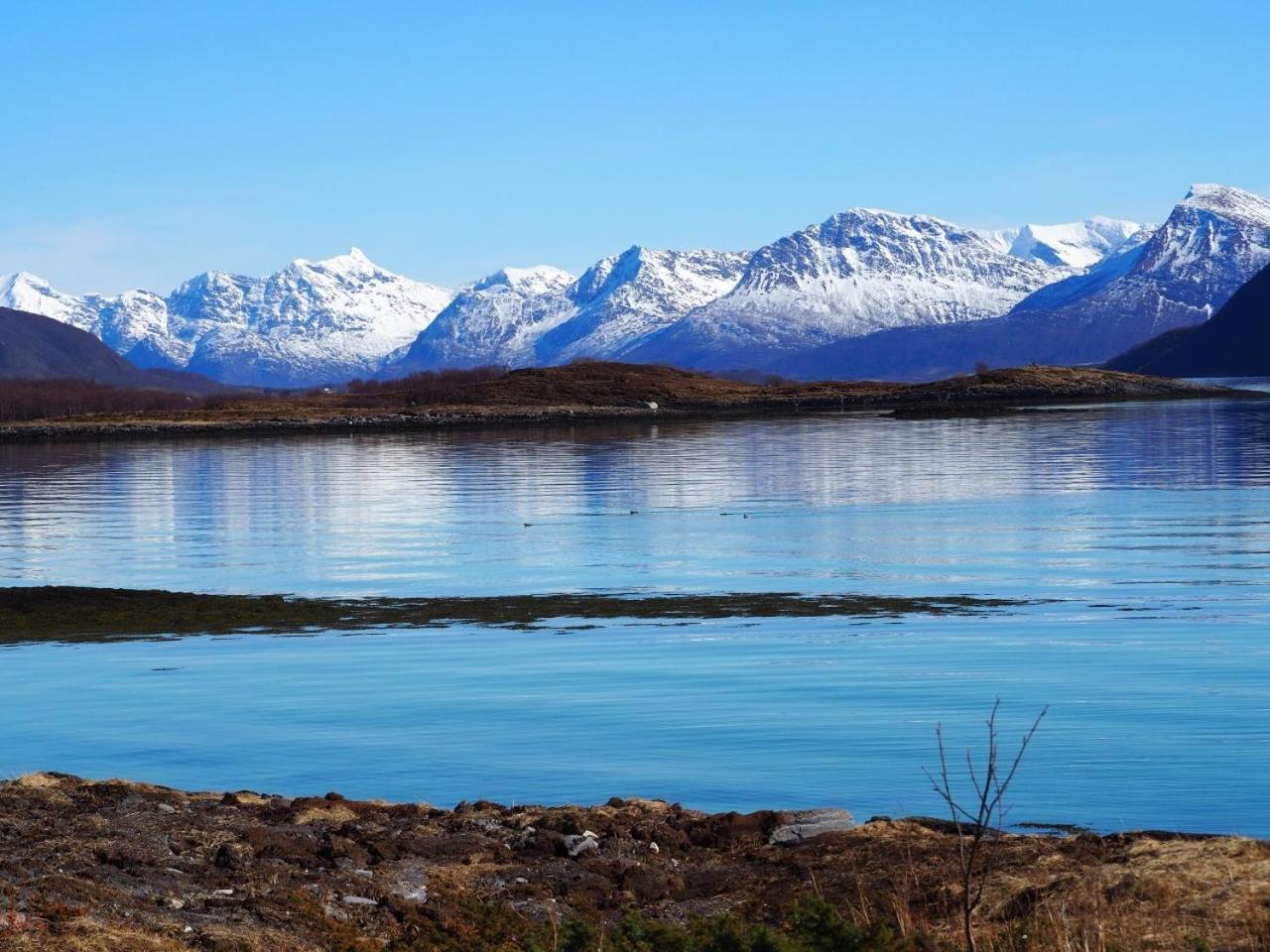 Steigen Sjøhytter Lodge *